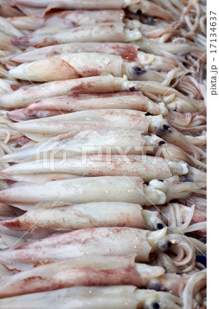 Fresh squid is in the fresh market. 17134637