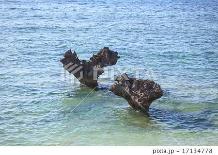 ハートロック 17134778