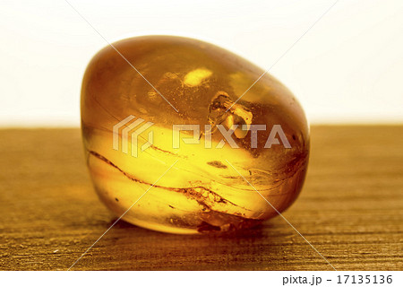 Amber with embedded insect Amber with embedded insect 17135136