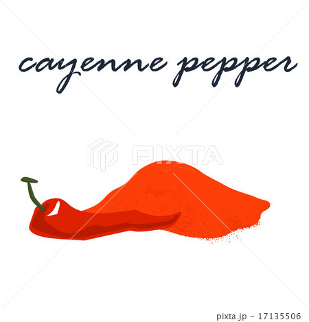 .hot cayenne pepper powder vector illustration 17135506