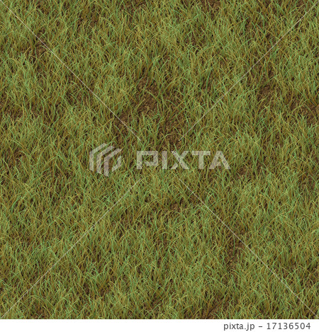 Grass generated seamless texture 17136504