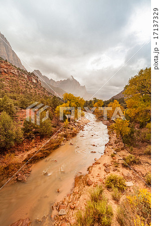 Virgin River and Watchman Zion N.P. in Fall 17137329