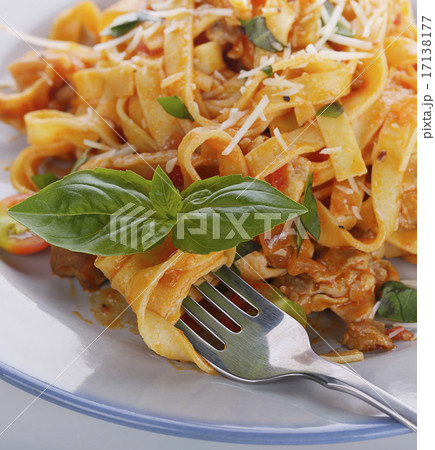 Fettuccine Pasta with Chicken 17138177