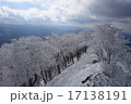 高見山の樹氷 17138191