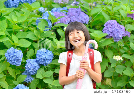アジサイと小学生の女の子(梅雨) アジサイと小学生の女の子(梅雨) 17138466