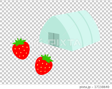 House strawberry 17138640