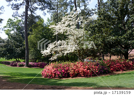 アメリカ　ジョージア州　ゴルフ場 17139159