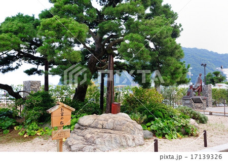 お宮の松 17139326