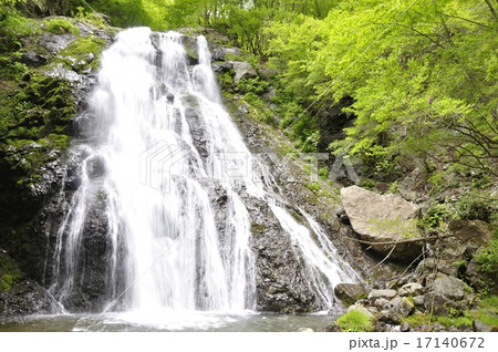 丹沢山地 雷滝 17140672