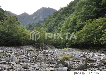 西丹沢 用木沢 西丹沢 用木沢 17140700