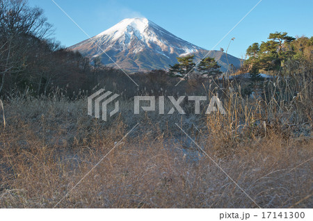 富士山冬景色 富士山冬景色 17141300