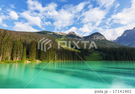 Emerald lake Emerald lake 17141902