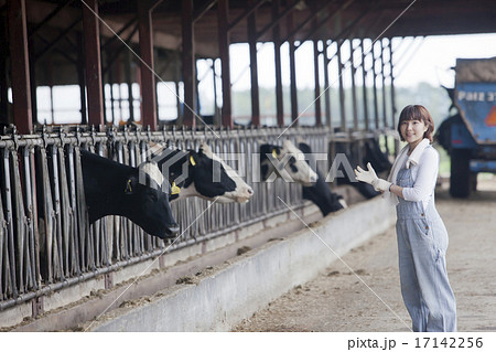 牧場で働く女性 17142256