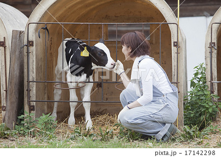 ファームステイ 17142298