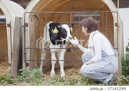 ファームステイ 17142299