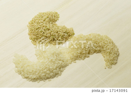 食品　米　ごはん　和食 17143091