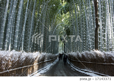 竹林の雪景色 17143371