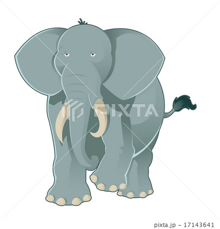 Gray elephant 17143641