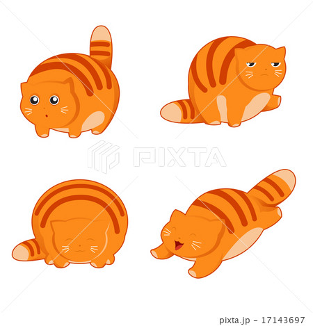 Fat cat icons 17143697