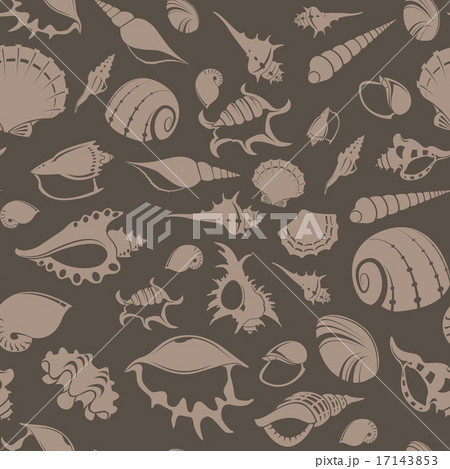 Shell seampess pattern 7 Shell seampess pattern 7 17143853