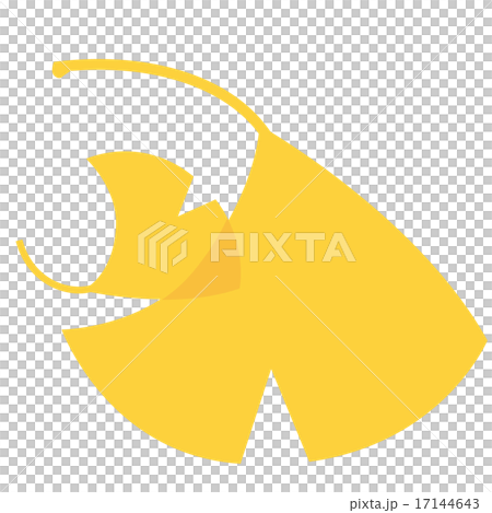 黃色銀杏葉 17144643