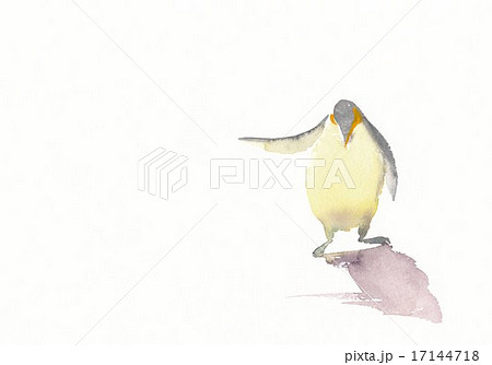 ペンギン ペンギン 17144718