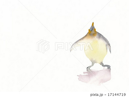 ペンギン 17144719