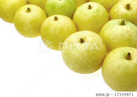 二十世紀梨 17144971