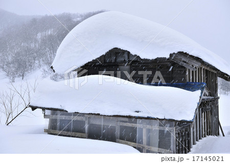 豪雪の民家/秋田県 由利本荘市 豪雪の民家/秋田県 由利本荘市 17145021