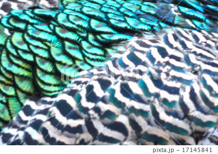 Abstract background with space for your message Abstract background with space for your message 17145841