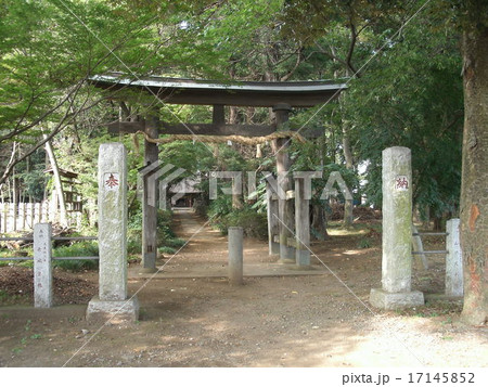 国王神社 17145852