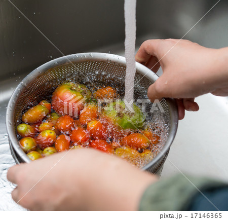 自家栽培の野菜 17146365