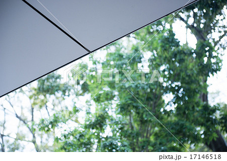 庇と緑 庇と緑 17146518