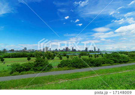 荒川の川原と川口市の街並み 17148009