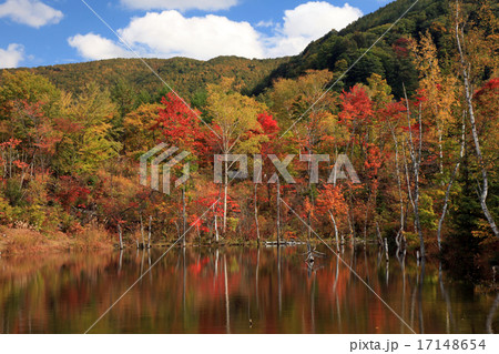 高原の紅葉004 高原の紅葉004 17148654