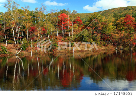 高原の紅葉005 高原の紅葉005 17148655
