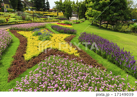 デンパーク 17149039