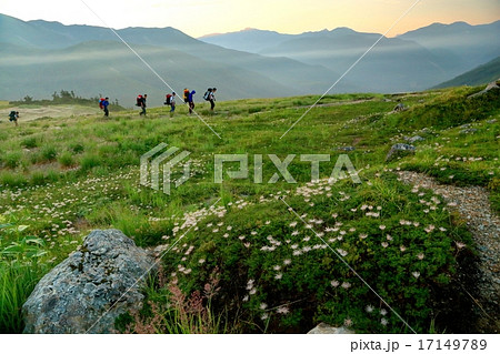 早朝の太郎平を行く登山者 17149789