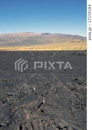 サドルロード　ハワイ島-10 17150164