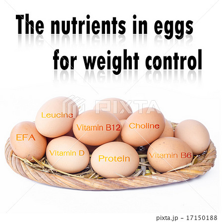 Eggs Eggs 17150188