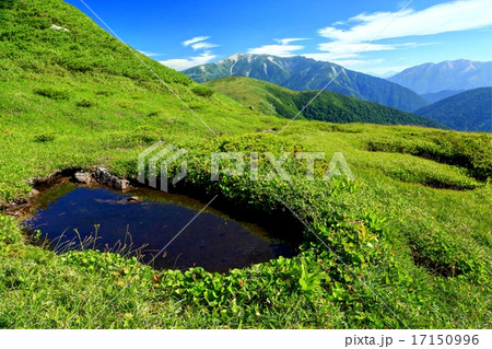 北アルプス・中俣乗越の池塘と薬師岳 北アルプス・中俣乗越の池塘と薬師岳 17150996
