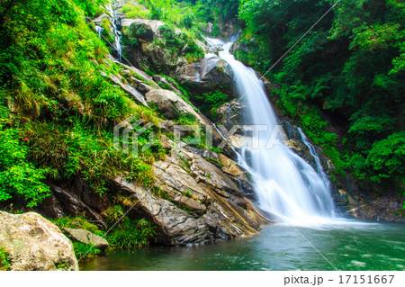 新緑の見返りの滝 17151667