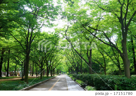 靭公園(大阪市) 靭公園(大阪市) 17151780