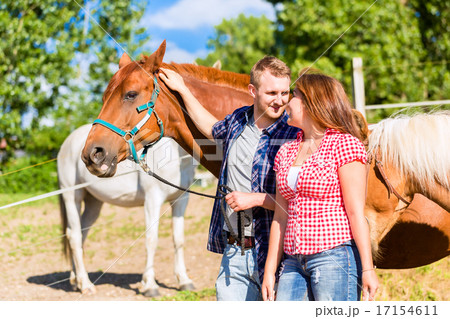 Couple petting horse on pony stable 17154611