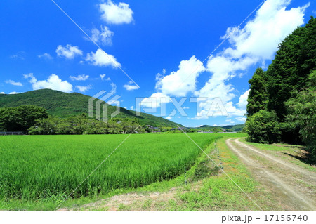 田染荘の田園風景 田染荘の田園風景 17156740