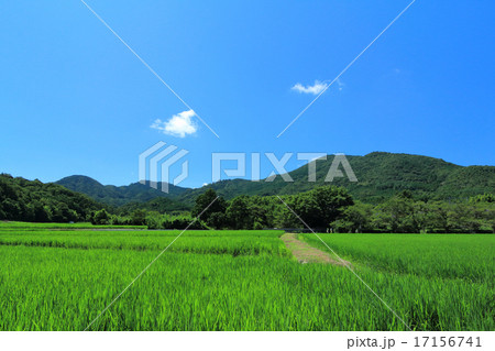 田染荘の田園風景 17156741