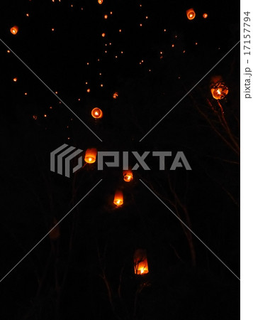 チェンマイ　コムローイフェスティバル 17157794