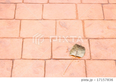 Bodhi or pho leaf dry on brick floor 17157836
