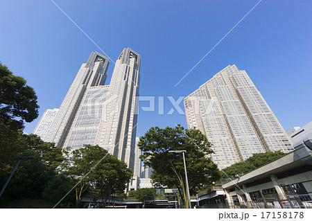 東京都庁を見上げる　快晴　青空　コピースペース 17158178