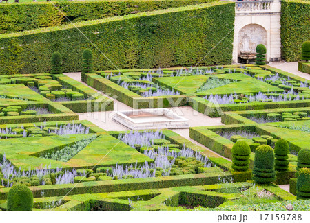 beautiful green boxwood garden pruned into shapes beautiful green boxwood garden pruned into shapes 17159788